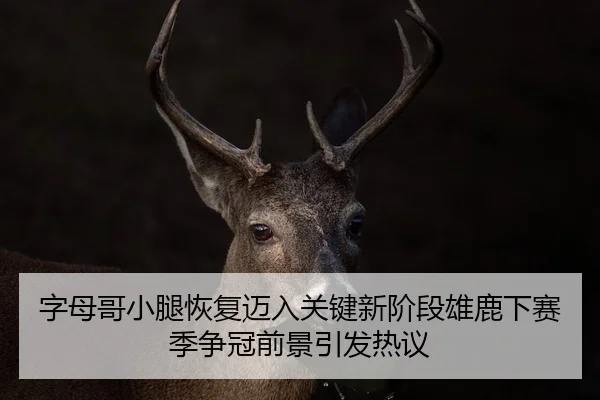 zi-mu-ge-xiao-tui-hui-fu-mai-ru-guan-jian-xin-jie-duan-xiong-lu-xia-sai-ji-zheng-guan-qian-jing-yin-fa-re-yi-2-104.jpg