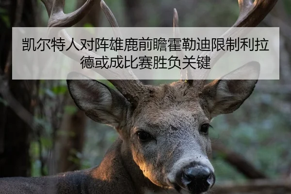 凯尔特人对阵雄鹿前瞻霍勒迪限制利拉德或成比赛胜负关键